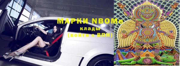 молекула духа Осташков